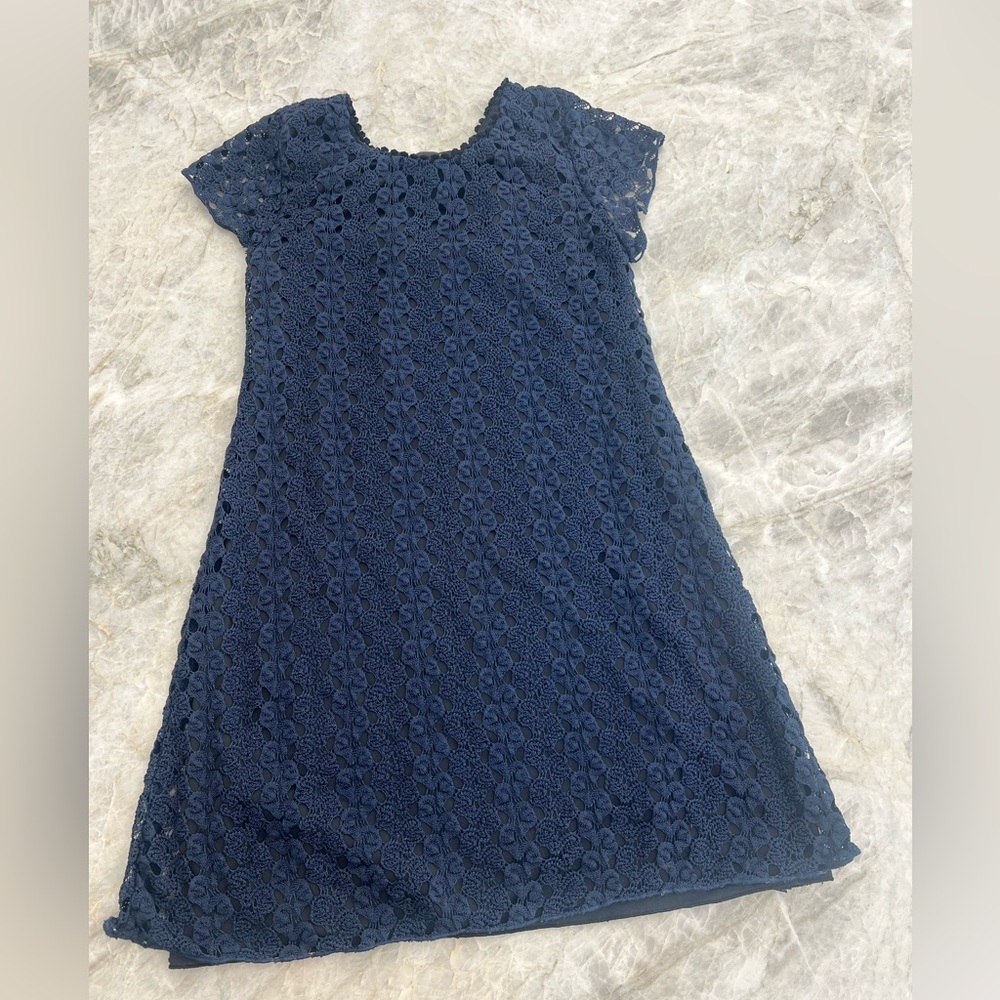 Charming Navy Lace Kids Dress
